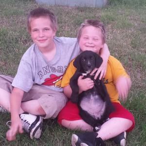 Meet your Posher, Levi